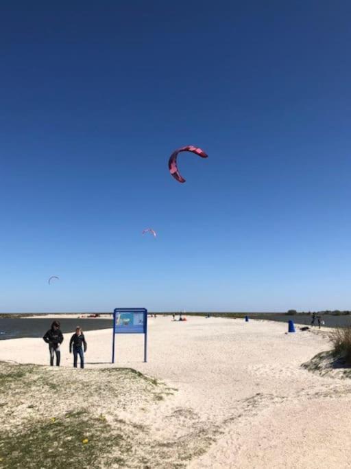 Gezellige Pipo Met Grote Schommel Aan Het Water Villa Medemblik Exterior photo