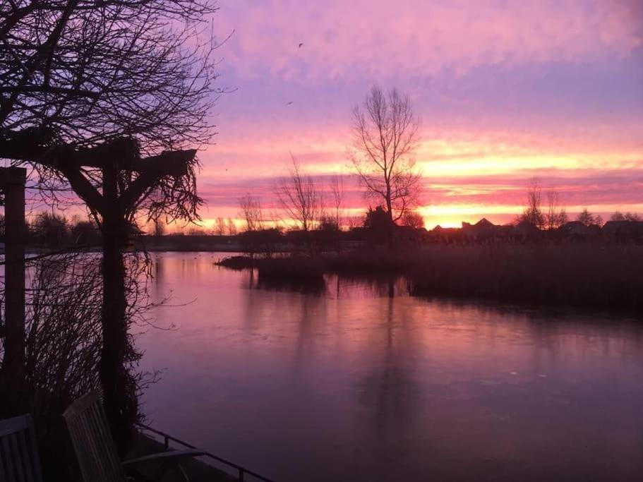 Gezellige Pipo Met Grote Schommel Aan Het Water Villa Medemblik Exterior photo
