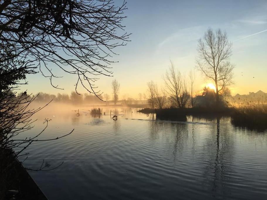 Gezellige Pipo Met Grote Schommel Aan Het Water Villa Medemblik Exterior photo